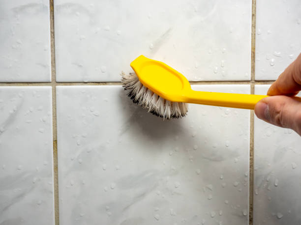 Best Bathroom Mold Remediation in Fennimore, WI